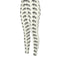 Ivory Piaffe Dressage Horse Motif High Waisted Leggings